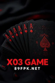 X03 Game